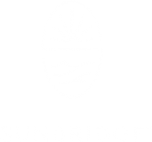 The Sunbridge logo in white