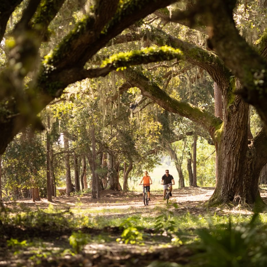 A couple riding bikes down a trail between large oak trees that are covered in Spanish moss in Sunbridge community, St. Cloud, Florida in Metro Orlando