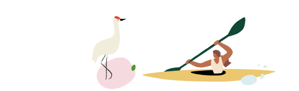 Illustrations of a heron and of a woman in a kayak.
