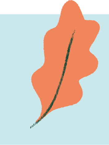 An illustration of an orange leaf