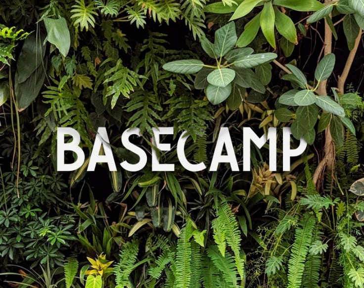 The Basecamp logo with a wall of greenery behind it.