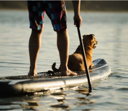 A dog laying on the front of a stand-up paddleboard, while his owner is standing behind him in Sunbridge community, St. Cloud, Florida in Metro Orlando