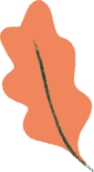 Illustration of an orange leaf