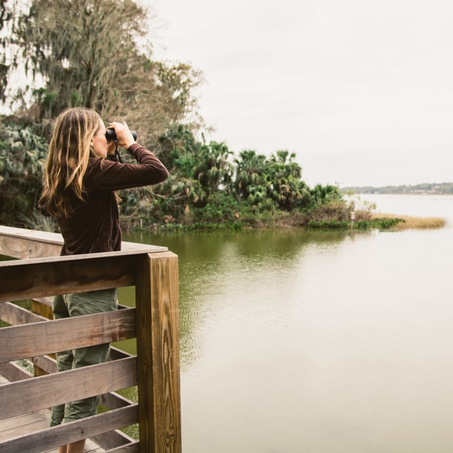 A woman using binoculars to look out over a lake while standing on a pier in Sunbridge community, St. Cloud, Florida in Metro Orlando