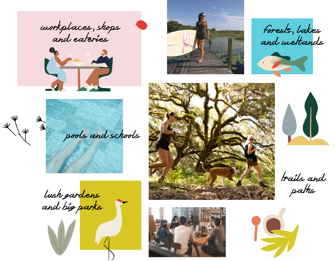 Collage of images and illustrations depicting shops, nature, pools, and animals