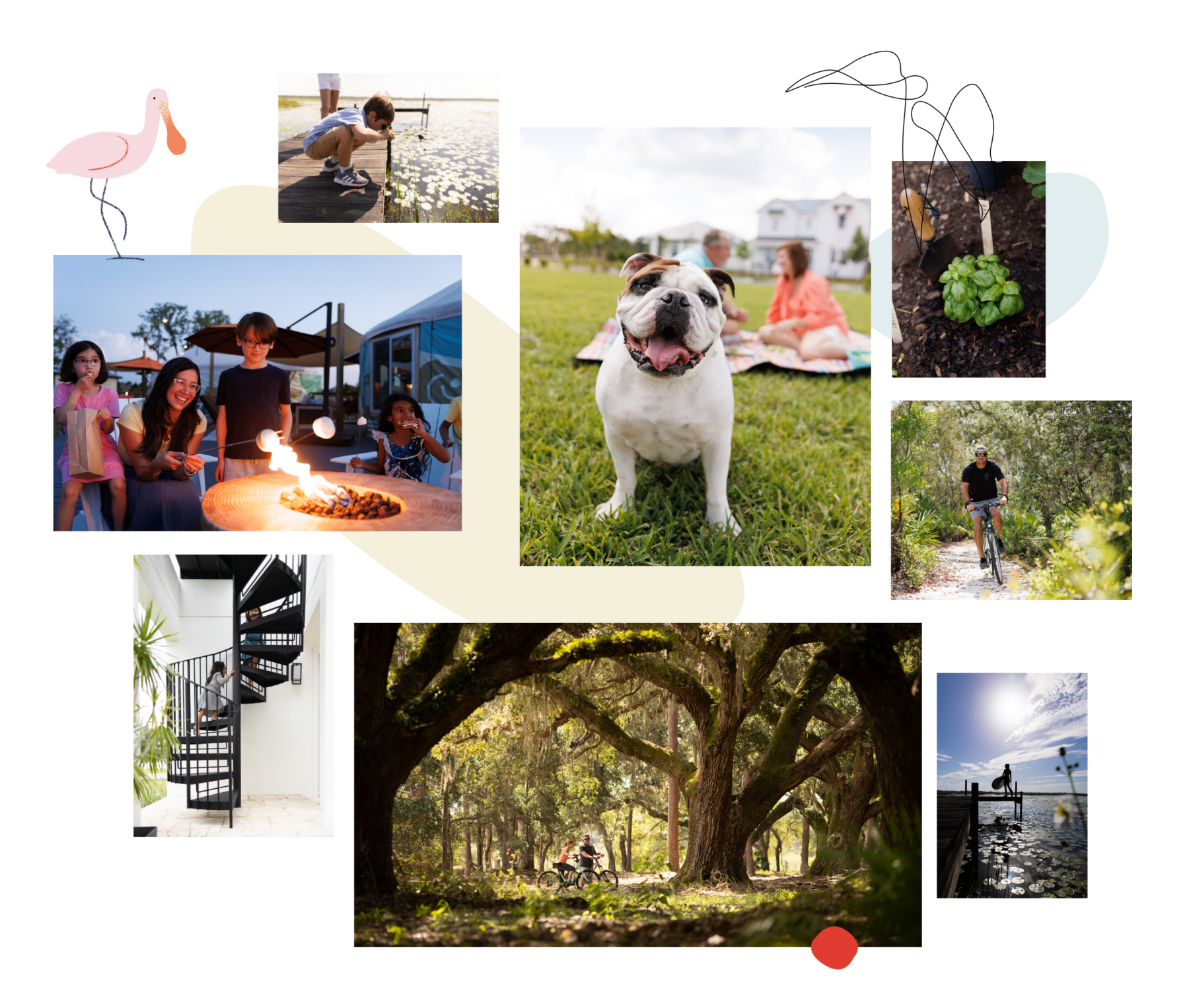A collage of images and illustrations showing nature, people enjoying the amenities in Sunbridge, and people enjoying the outdoors